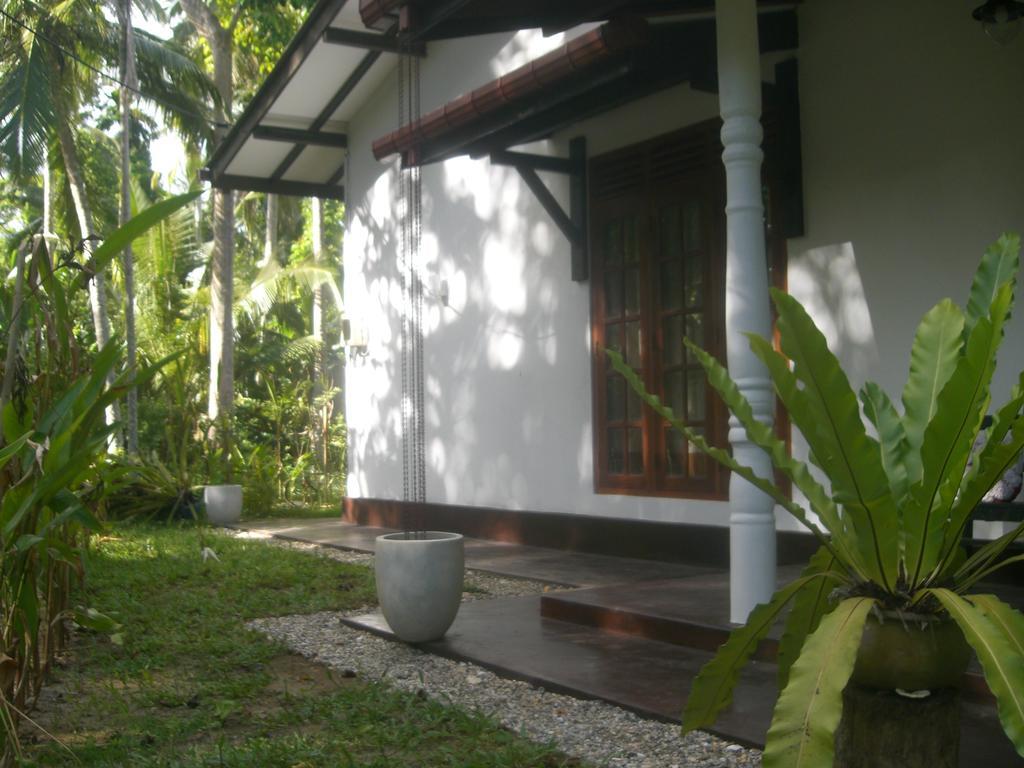 Bird Villa Galle Quarto foto